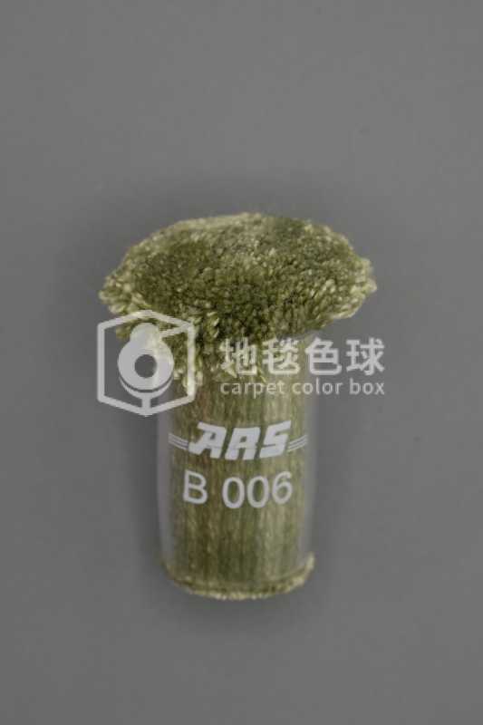 ARS B006