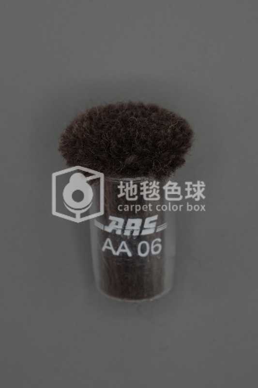 ARS AA06