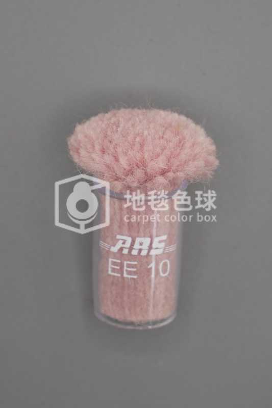 ARS EE10