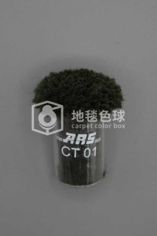 ARS CT01