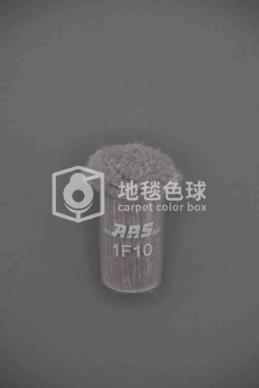 ARS 1F10