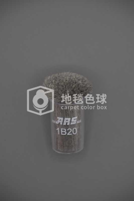 ARS 1B20