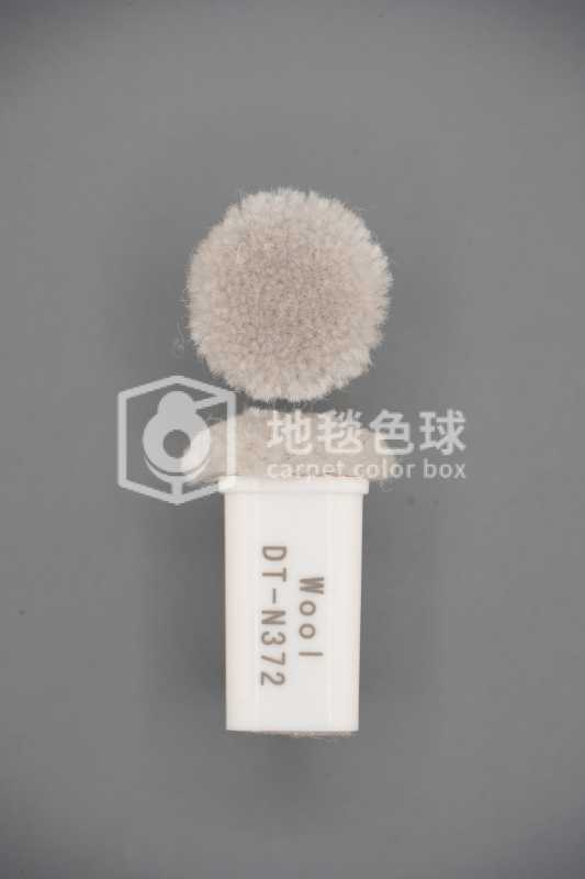 DT N372