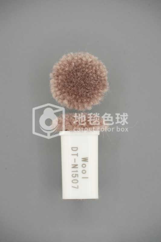 DT N1507