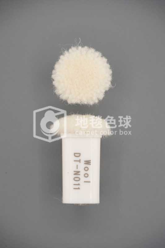 DT N011