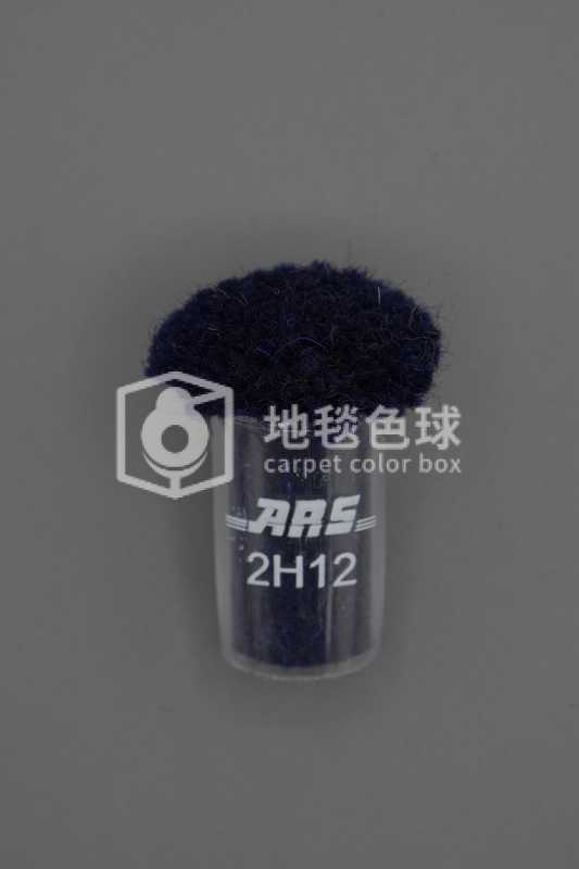 ARS 2H12
