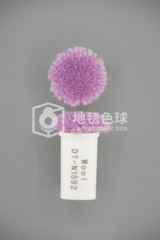DT N1592