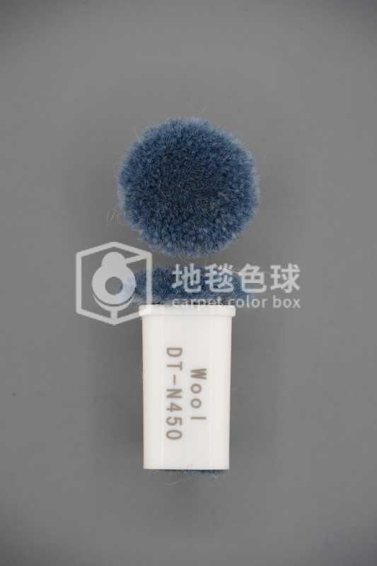 DT N450