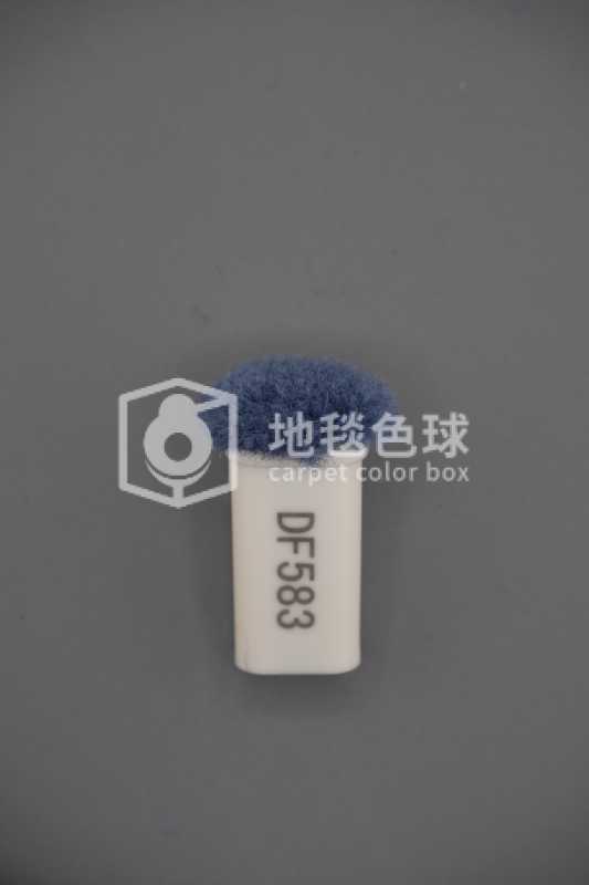 DF583
