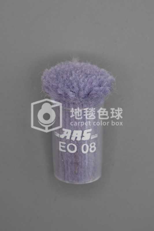 ARS EO08