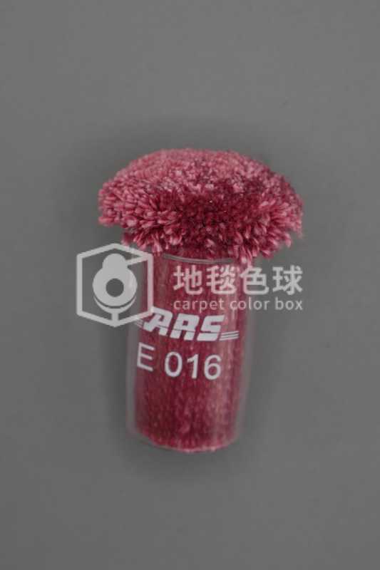 ARS E016