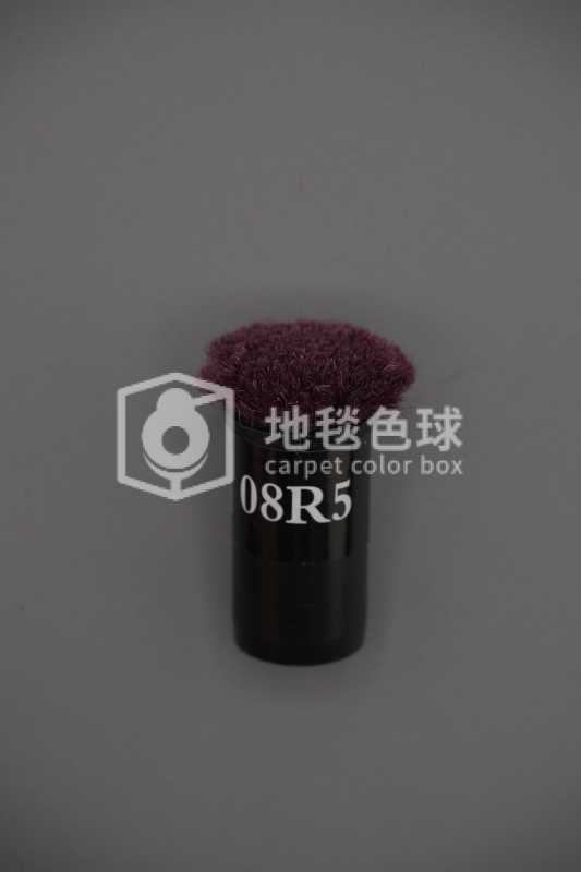 08R5