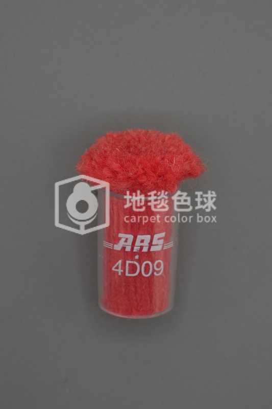 ARS 4D09