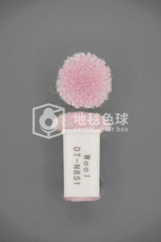 DT N851