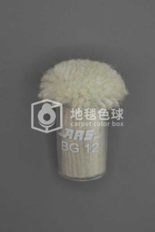ARS BG12