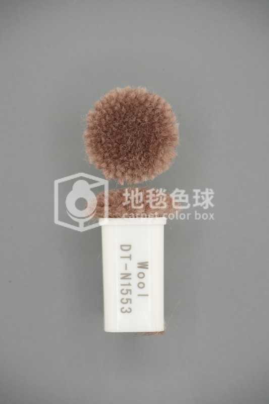 DT N1553