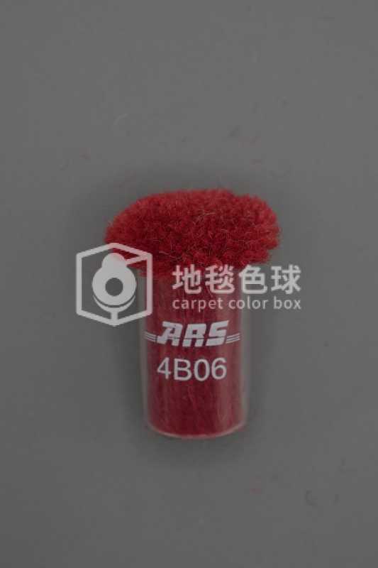 ARS 4B06