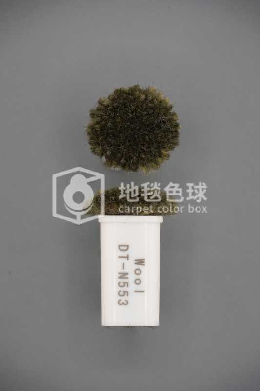 DT N553