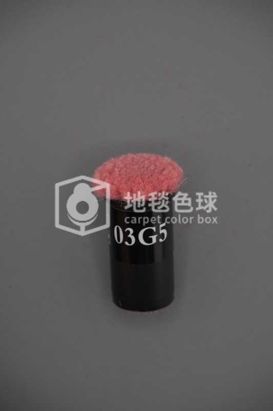 03G5