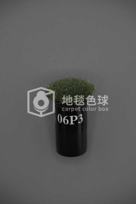 06P3