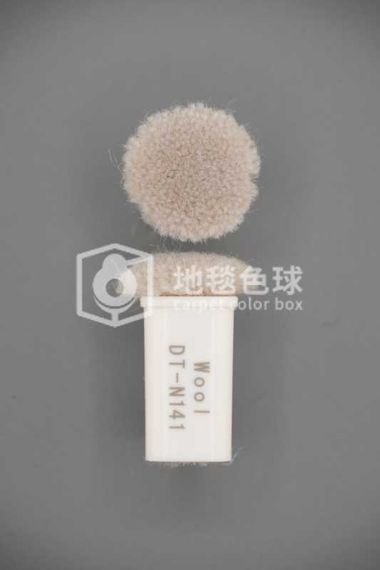 DT N141