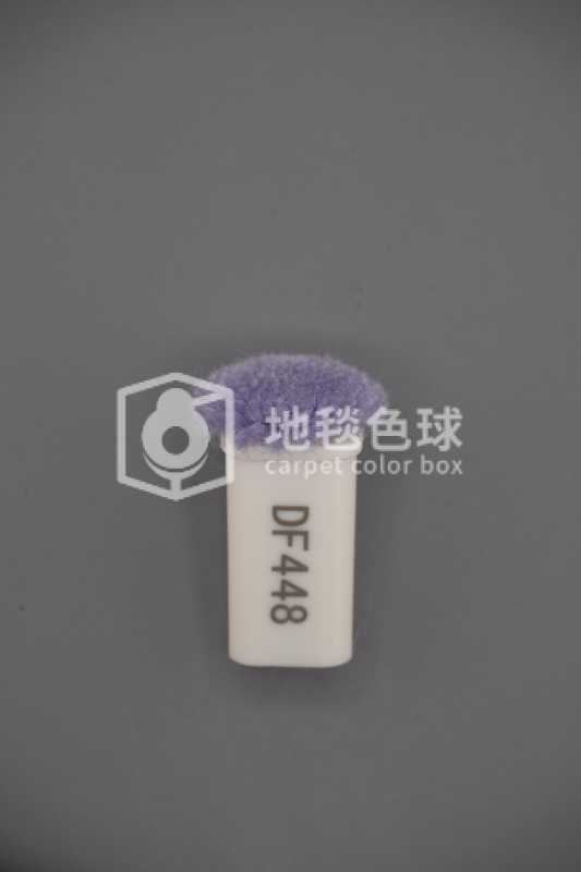 DF448