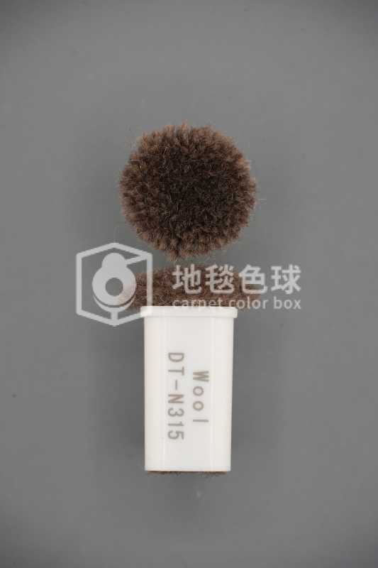 DT N315
