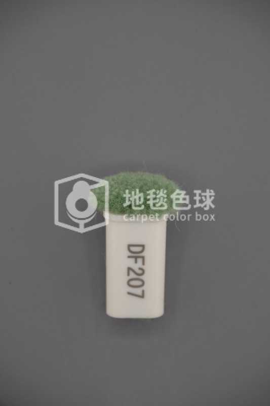 DF207