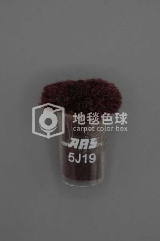 ARS 5J19