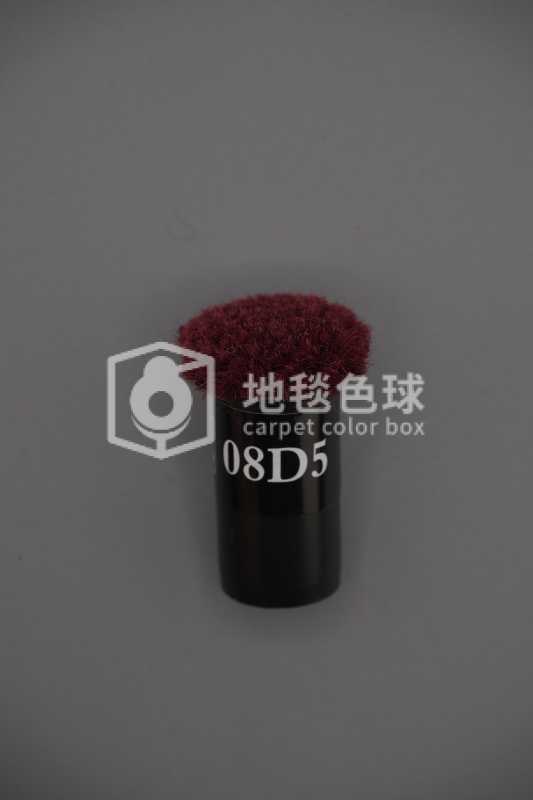 08D5