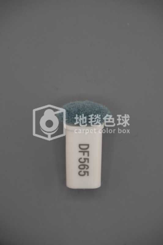 DF565