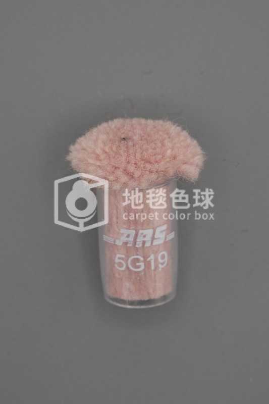 ARS 5G19