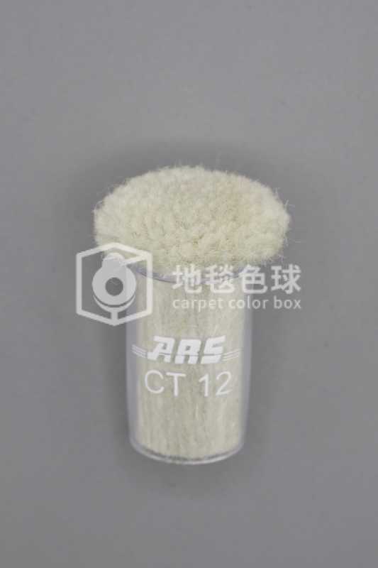 ARS CT12