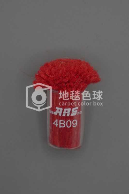 ARS 4B09