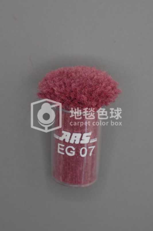 ARS EG07
