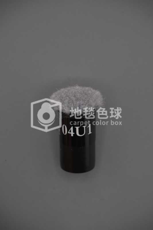 04U1