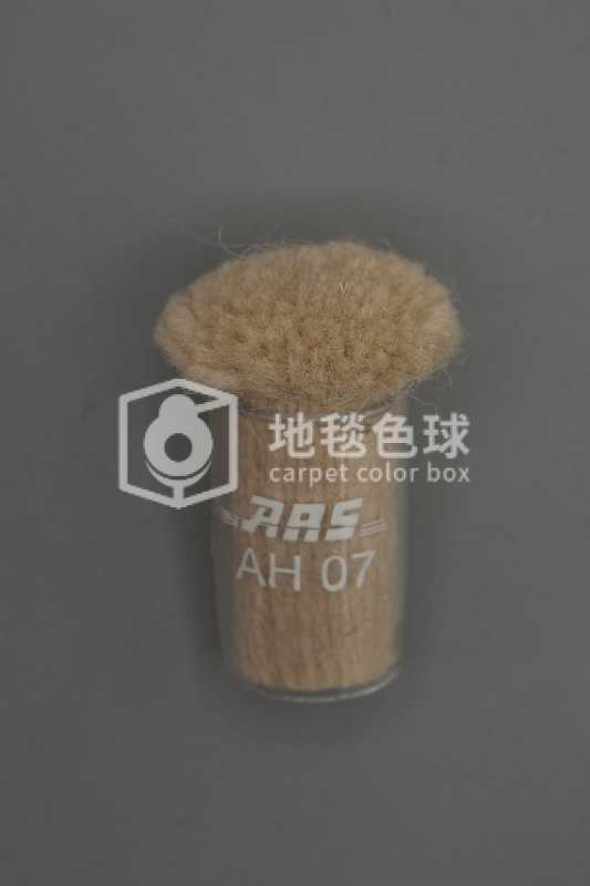 ARS AH07