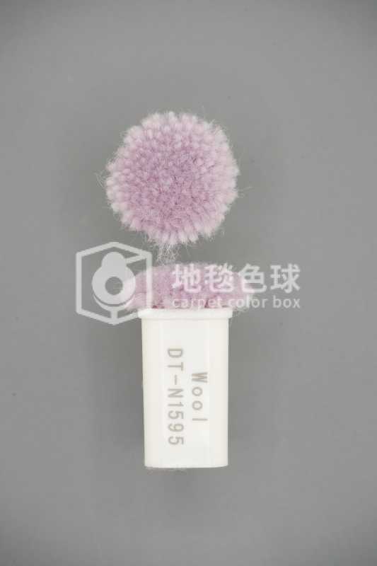 DT N1595