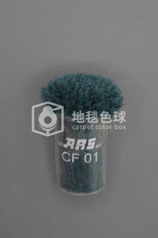 ARS CF01