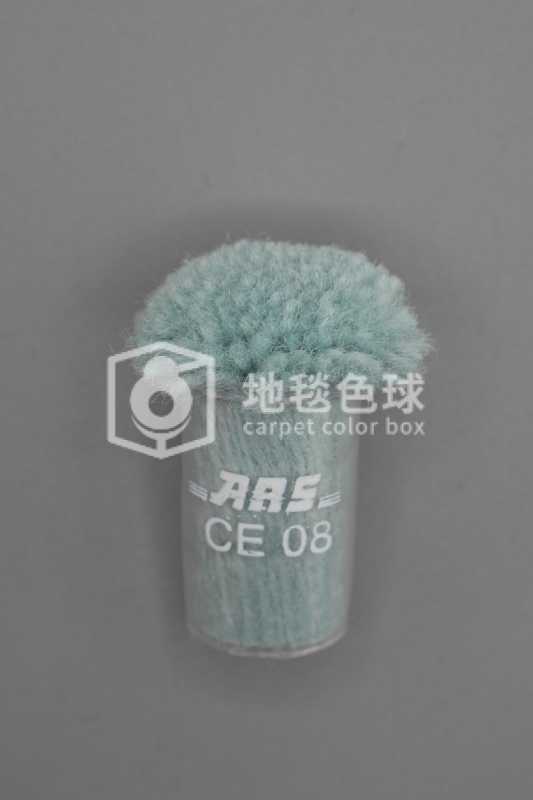 ARS CE08
