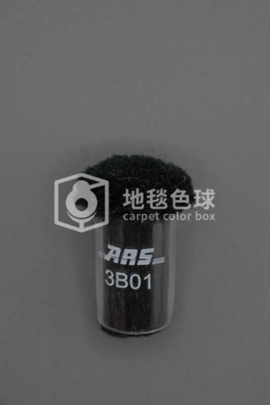ARS 3B01