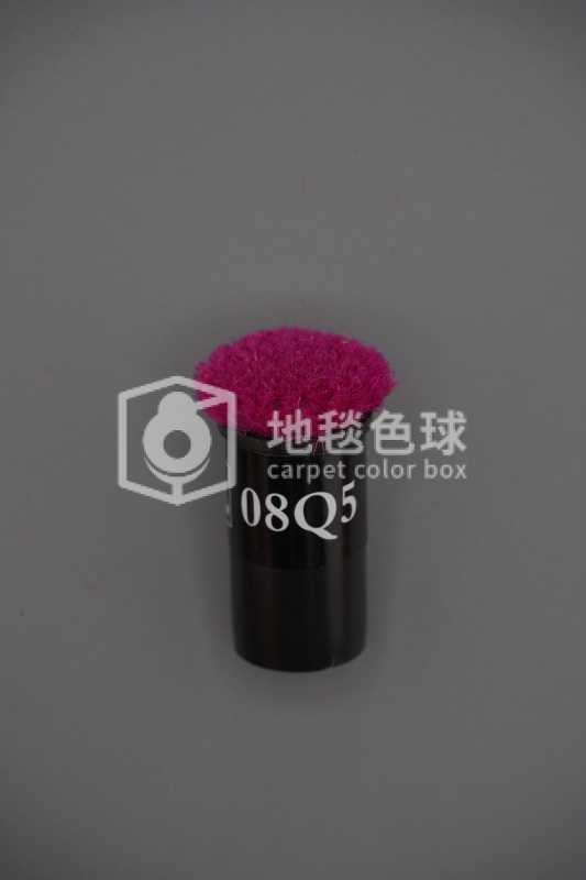 08Q5