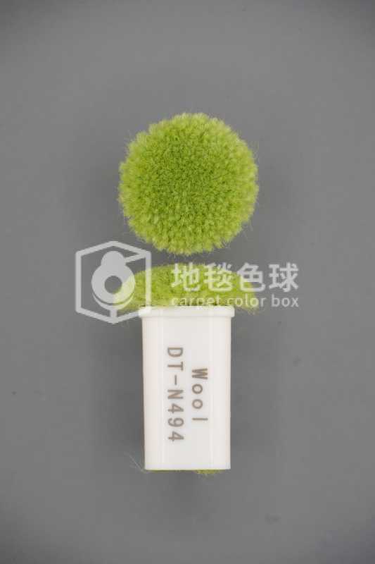 DT N494