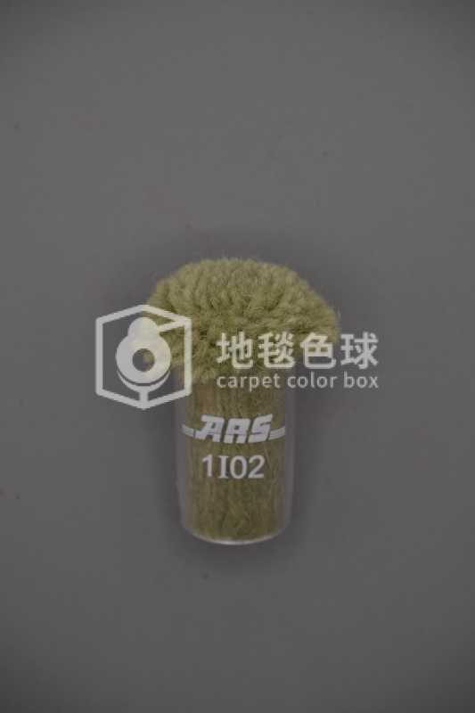 ARS 1I02