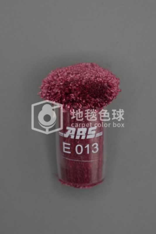 ARS E013