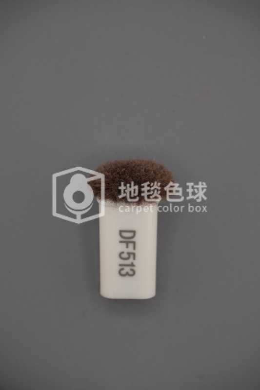 DF513