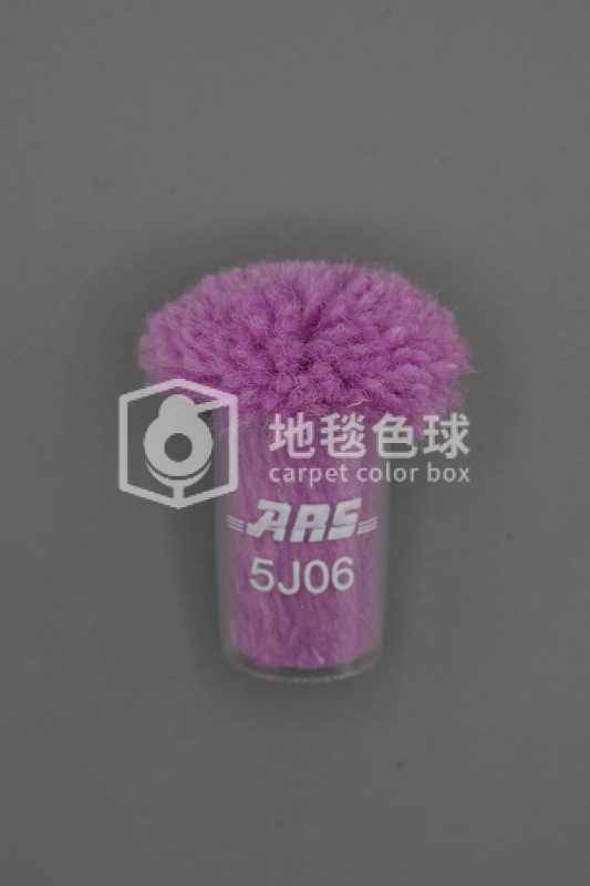 ARS 5J06