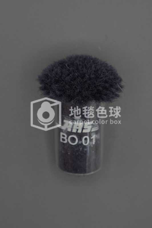 ARS BO01