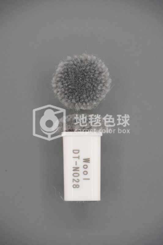 DT N028