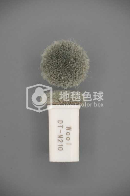 DT N210